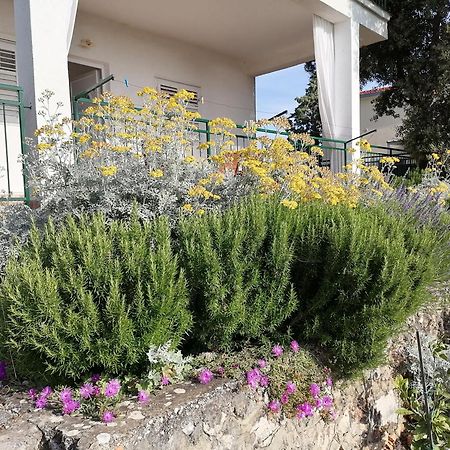 Apartments Diana Primošten Dış mekan fotoğraf