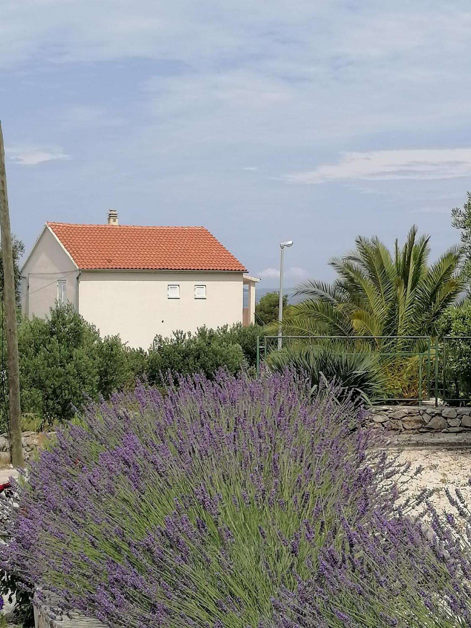 Apartments Diana Primošten Dış mekan fotoğraf