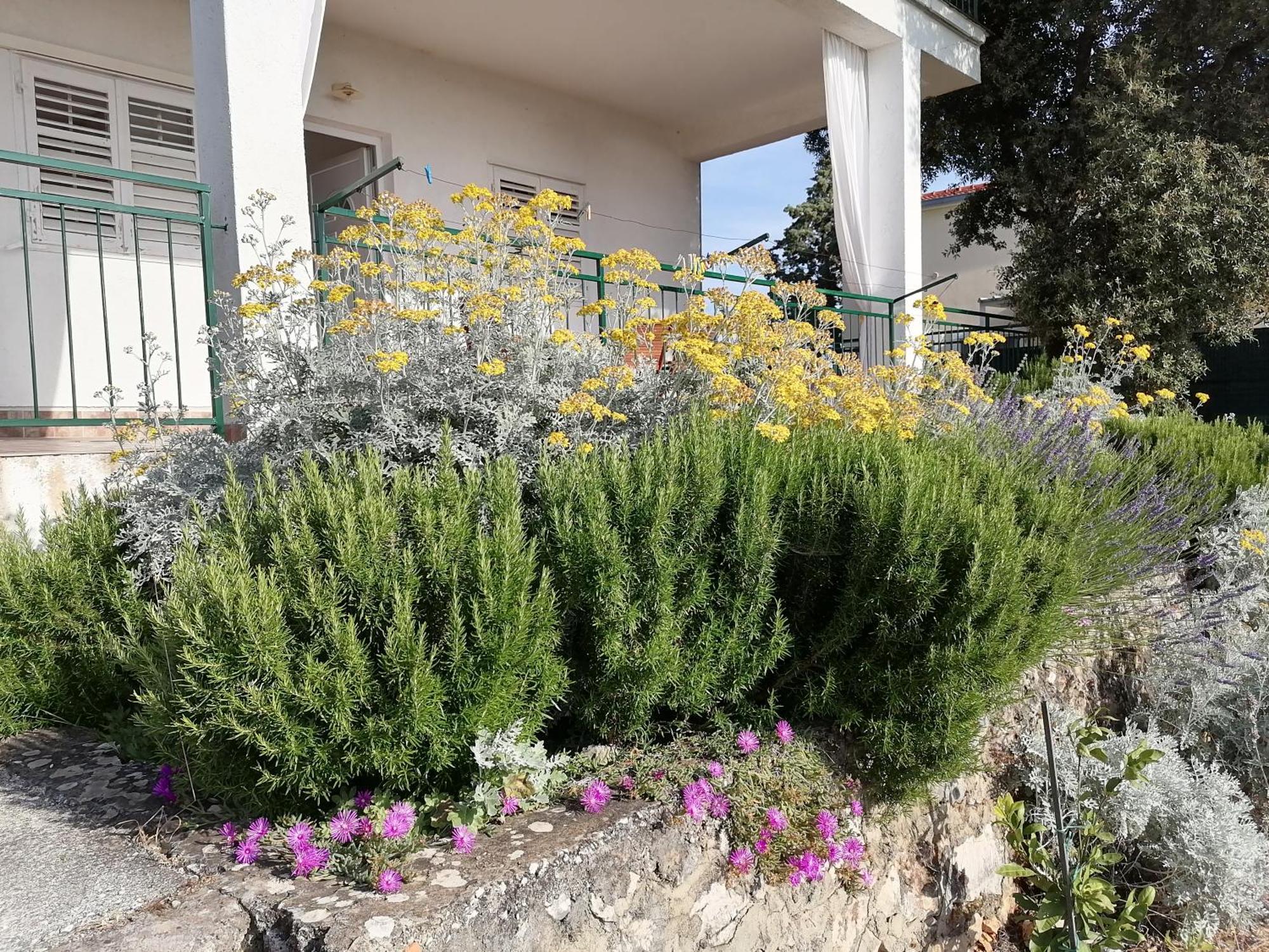 Apartments Diana Primošten Dış mekan fotoğraf